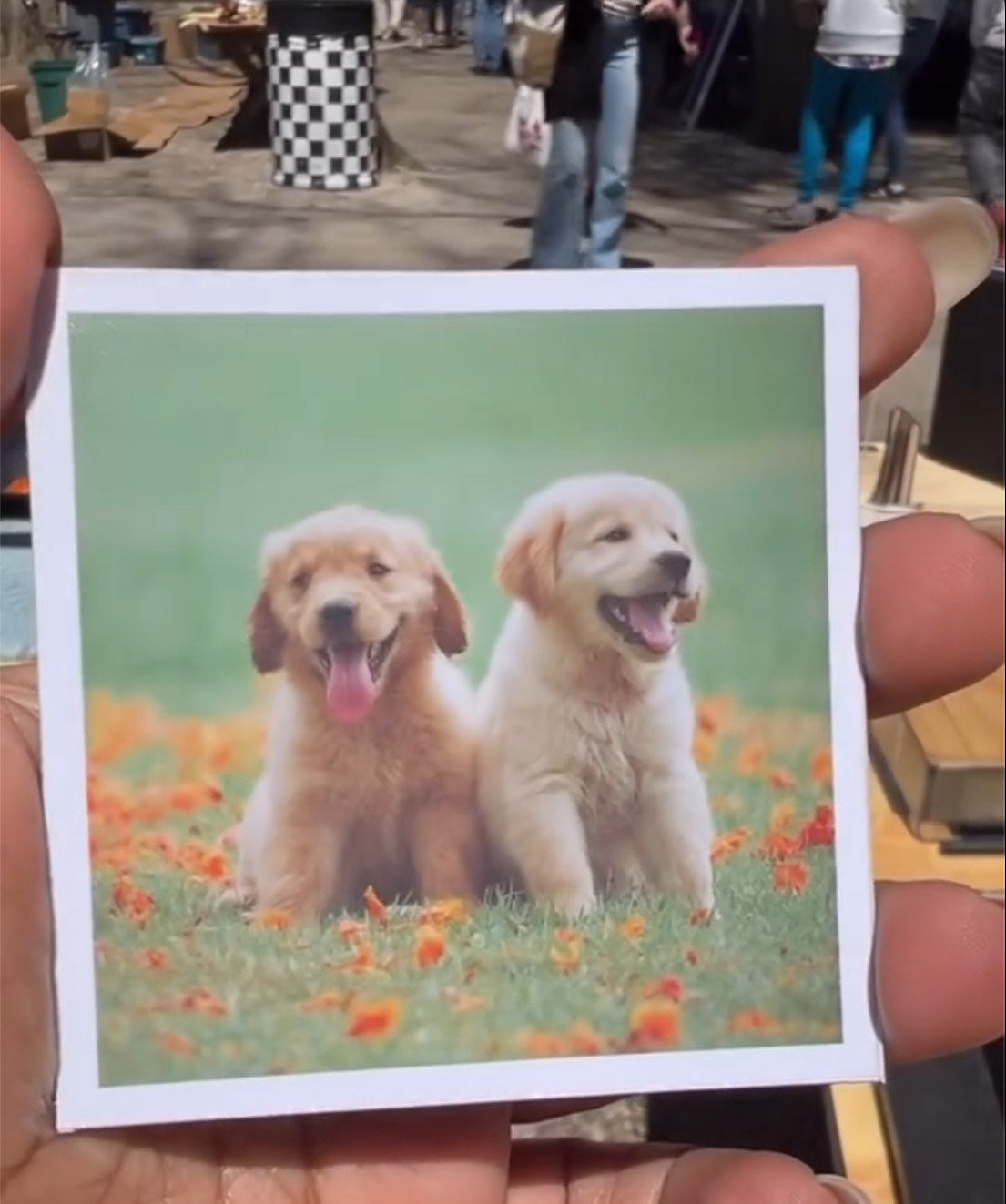 Custom Photo Magnet